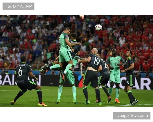 威尔士凭借稳固防守强势晋级，赛事表现引人注目