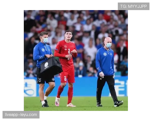 英格兰三狮全力备战欧洲杯,球迷热盼强势出击与巅峰对决 英格兰三狮全力备战欧洲杯,球迷热盼强势出击与巅峰对决